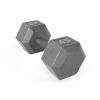 Multi-weight cast iron hexagonal dumbbell, single bar